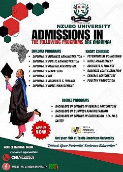 Programs We offer