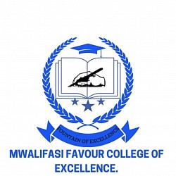 Our partner MWALIFASI FAVOUR COLLEGE OF EXCELLENCE